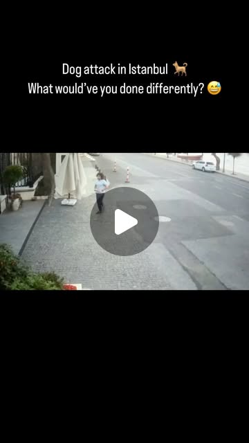 🏃‍♂️ 💨 🐕  — Qatar reel by TripleF Qatar