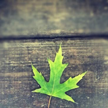 This instantly reminds me of #Canada @badyearblimp #MapleLeaf #maple #Toronto — Qatar reel by TripleF Qatar in badyearblimp