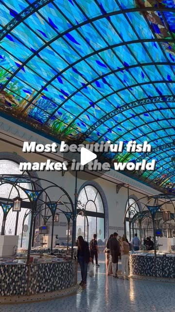 Most beautiful fish market in the world 🌎 🐟 — Qatar reel by TripleF Qatar in @chabrat.almina , Doha, Qatar