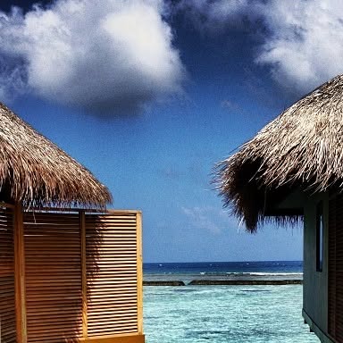 #waterbungalows #neighbors #velassaru #maldives #snorkling — Qatar reel by TripleF Qatar