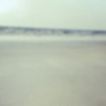 #starfish #Goa #beach #sand #sea #cute #star — Qatar reel by TripleF Qatar