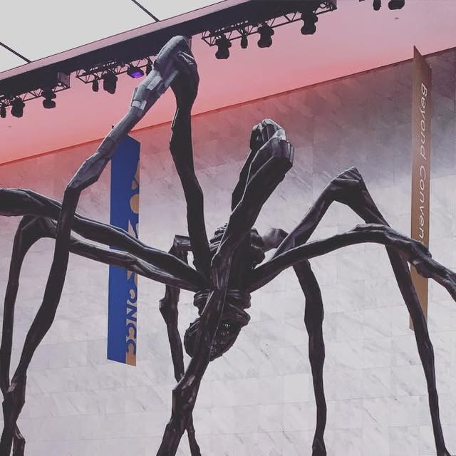 One of the most terrifying things that exist in the world. #spider #doha #qatar #arachnophobia #art — Qatar reel by TripleF Qatar