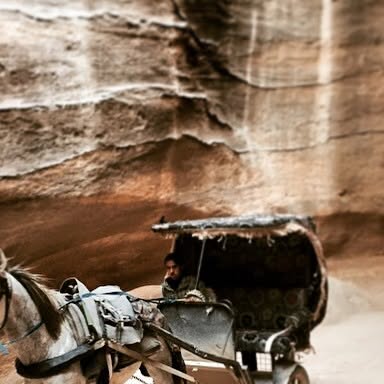 Beep beep! #horse cart in #petra #jordan #nomad #travel — Qatar reel by TripleF Qatar