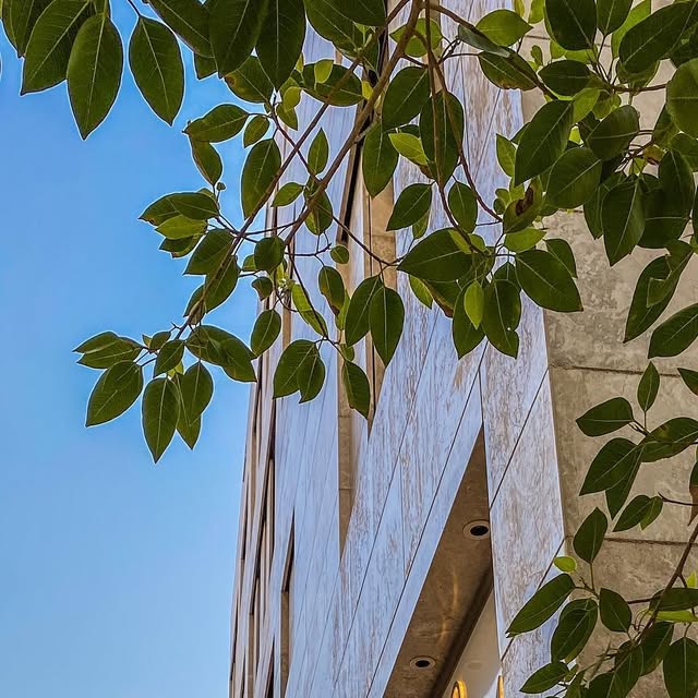 Save this post 📌 — Qatar reel by TripleF Qatar in @Rusk.qa