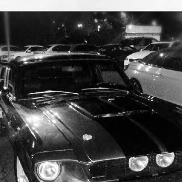 What a #monster <3 #AmericanMuscle #Mustang — Qatar reel by TripleF Qatar