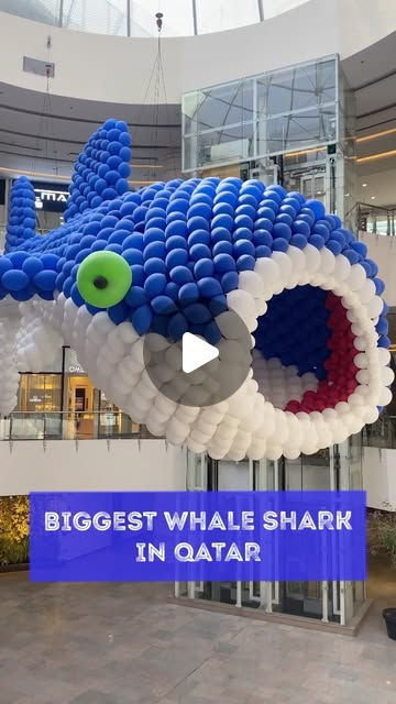 Biggest Whale Shark 🦈 in Qatar 😍