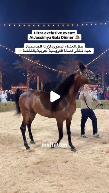 Let me show you an ultra exclusive event in Qatar