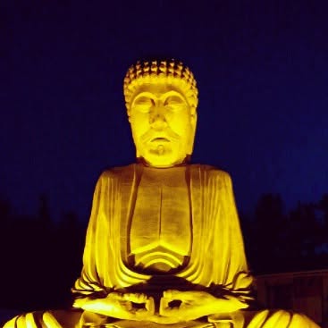 #Buddha is that u? #Summer #beach #mamaia — Qatar reel by TripleF Qatar