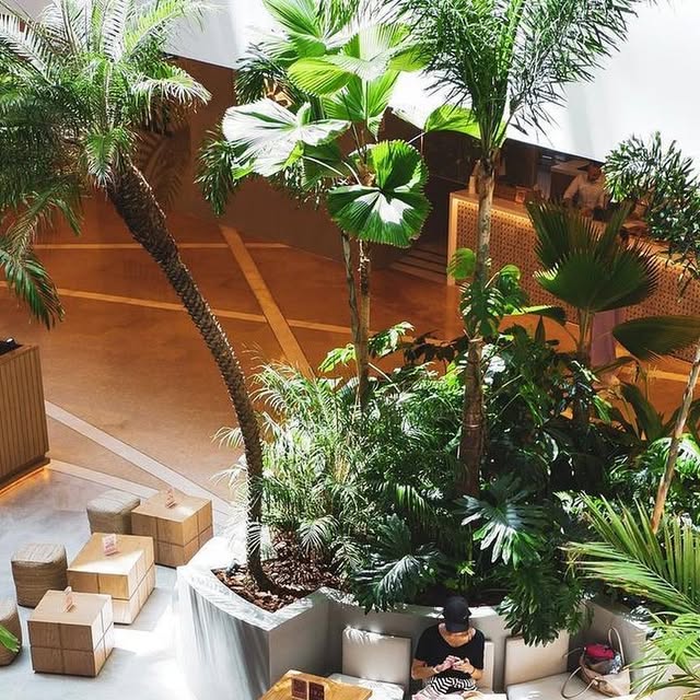 Welcome to the JUNGLE 🌴📍 — Qatar reel by TripleF Qatar in ⠀