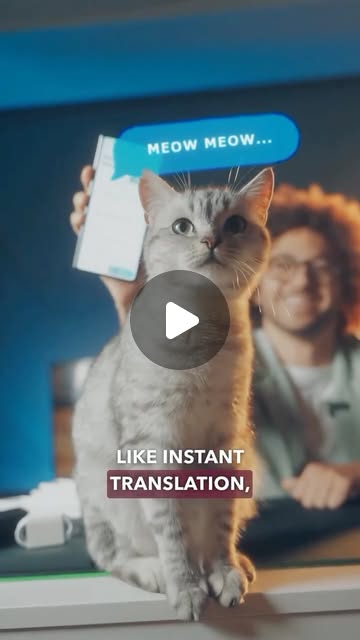 Whaaaat? 😱 — Qatar reel by TripleF Qatar