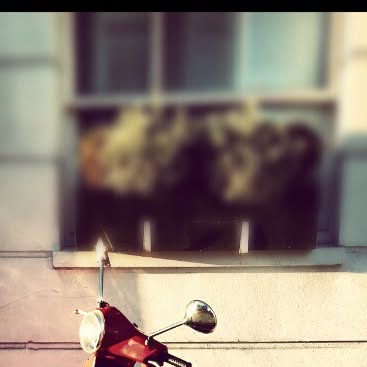 Little #vespa got attitude - #Walton #street #London #UK — Qatar reel by TripleF Qatar