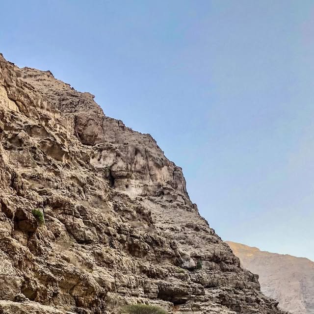 Tarzan in Oman 🇴🇲 — Qatar reel by TripleF Qatar in alijar32