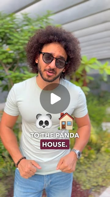 Pandas in Qatar 🐼 🇶🇦