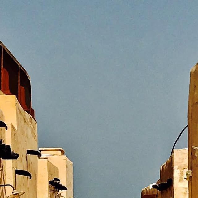 You can never have too much beach 🌴#whatwinter #sea #sky #nature #beachlife #goodtimes #sun #Qatar — Qatar reel by TripleF Qatar